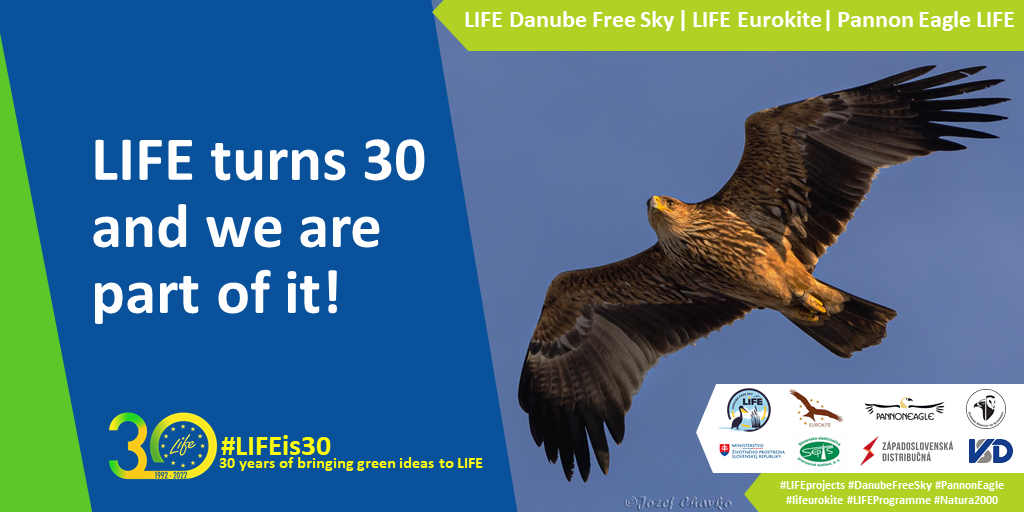 LIFE IS 30 AND WE ARE PART OF IT!
